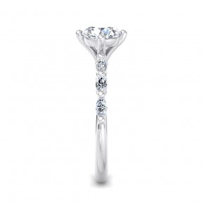 Кольцо SM0342-Pt Кольцо SM0342-Pt