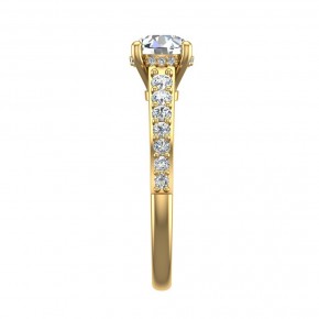 Кольцо SM0035-750-Y