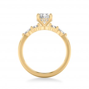 Кольцо RC12198-750-Y Кольцо RC12198-750-Y