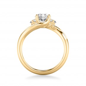 Кольцо RC120-750-Y