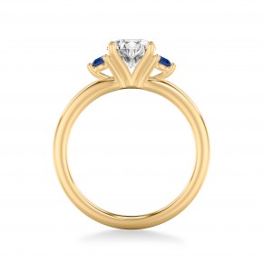 Кольцо RCV1033S-750-Y Кольцо RCV1033S-750-Y