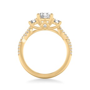 Кольцо RC10036-750-Y Кольцо RC10036-750-Y