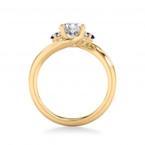 Кольцо RCV1030S-750-Y