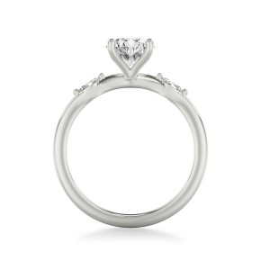 Кольцо RC12160-750-W Кольцо RC12160-750-W