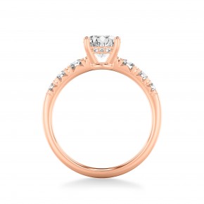 Кольцо RC12194-750-R Кольцо RC12194-750-R