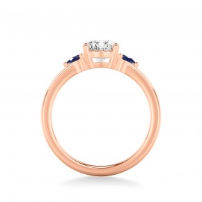 Кольцо RC105-750-R Кольцо RC105-750-R