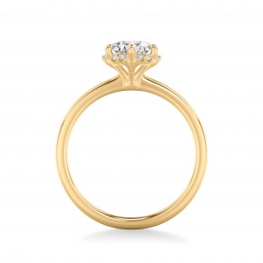 Кольцо RC12171-750-Y Кольцо RC12171-750-Y