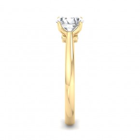 Кольцо SM0085-750-Y Кольцо SM0085-750-Y