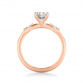 Кольцо RC12160-750-R