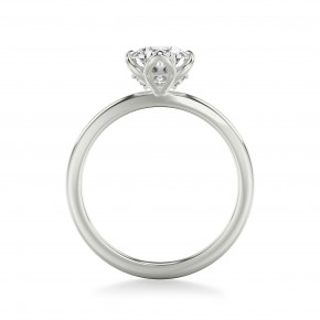 Кольцо RCV1035-Pt Кольцо RCV1035-Pt