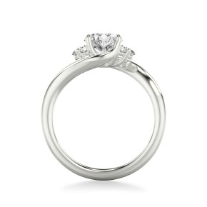 Кольцо RC120-750-W Кольцо RC120-750-W