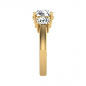 Кольцо TS0080-750-Y