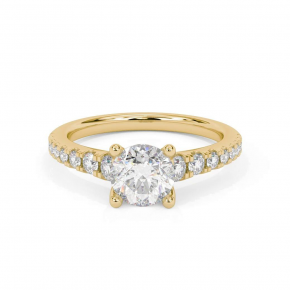 Кольцо RCV1066-750-Y Кольцо RCV1066-750-Y