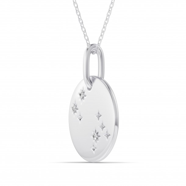 Ожерелье RC10596-8WPND